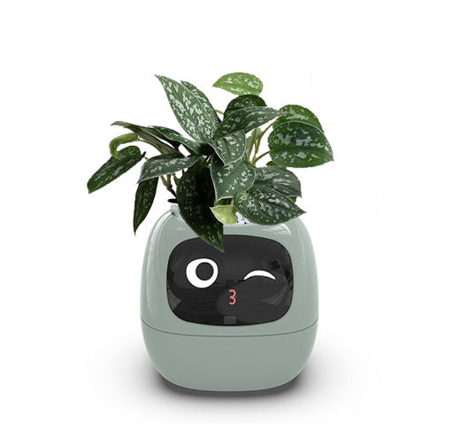 SmartPlanter AI Pot Over 49 Rich Expressions